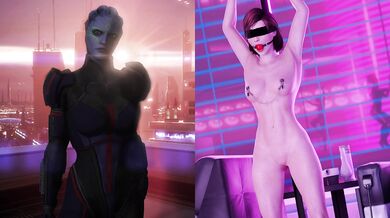 "The Assassin and the Princess"