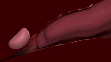 'The Toy Love Filthx Naughty World'.