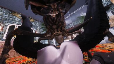 The Adventures of a Horny Warrioress in Skyrim - Ride the Dragon and Get Pounded!