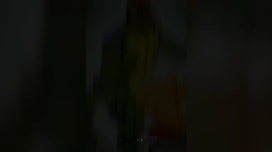 "Monty the Gator and Freddy Bear - PMV #89"