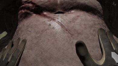 Hentai Monsters POV: The Creature Inside the Mask or Monster Inside Moogan: A Hentai POV Adventure