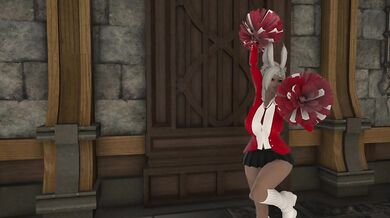 The Cheerleader and Her Sexy Sports Gear