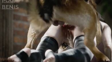 'Claire's Burnout 6 [Pog Benis]'