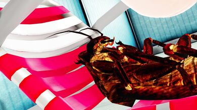 "The Splash of Lucoa and Ryuuko: A Poolside Romp with Bugs (in Ultra HD)"