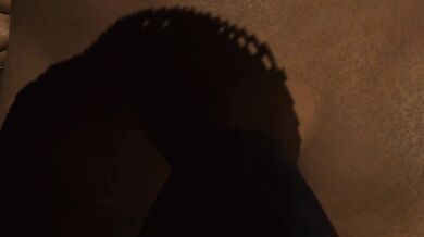 "One Night in the Honey Pot - A POV BBC Adventure with Two Horny Babes and a Gangbang Blowjob!"