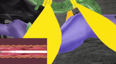 "The Ultimate Fuck Fest in Another World! Devil Metal's Edited Masterpiece"