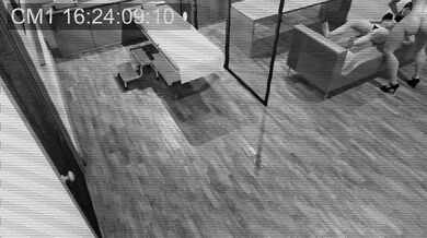 "Hentai porn footage of famous person being dominated and penetrated even though paralyzed"