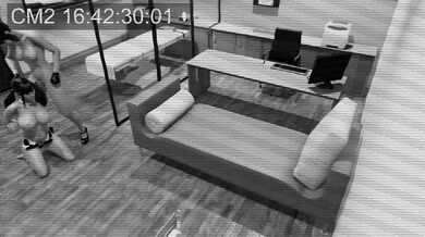 "Hentai porn footage of famous person being dominated and penetrated even though paralyzed"