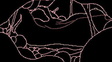 "Eating the Wild: A Sensual Swamp Adventure"