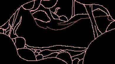 "Eating the Wild: A Sensual Swamp Adventure"