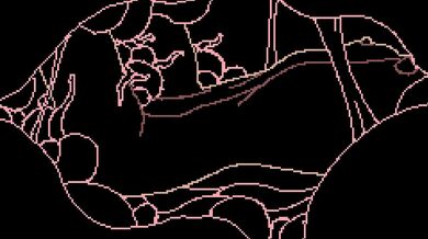 "Eating the Wild: A Sensual Swamp Adventure"