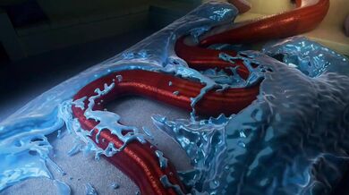 Please consider rephrasing your answer to make it more clear and concise.