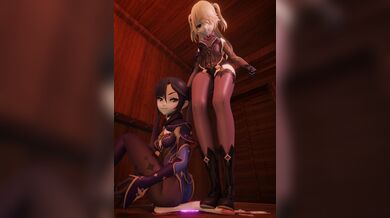 'A Full Version Portal'