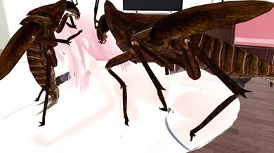 The insects crawl over each other in a crowded motel room, with orgies of creative sexual positions and intense pleasure.