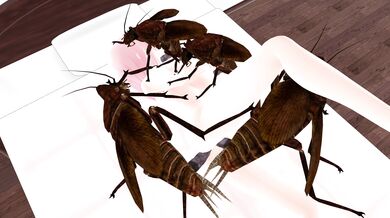 The insects crawl over each other in a crowded motel room, with orgies of creative sexual positions and intense pleasure.