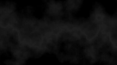 "La Gardienne de l'Orifice : Le Studio Wildeer [français sous-titré]"