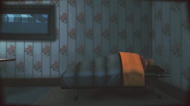 'The Hidden Desires of a Lonely Maid.'