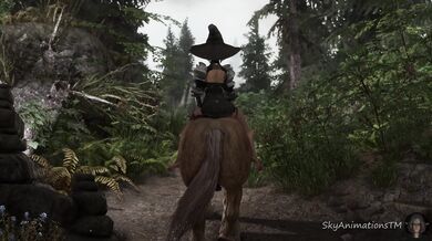 'Dreams of a Horsewoman'