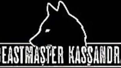 'Fetishistic Foot Worship of the Beastmaster Kassandra'