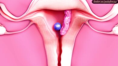 'Breeding and Birthing (X-Ray Ver): 2B Can't Hold It In'