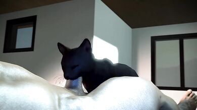 'My First Time Directing: Cat Blowjob with RookieAnimator210'