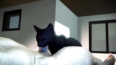 'My First Time Directing: Cat Blowjob with RookieAnimator210'