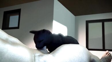 'My First Time Directing: Cat Blowjob with RookieAnimator210'