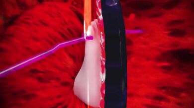 'Flexible Siren Surrendered'