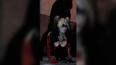 'Harley Quinn and Catwoman Pet their Sex Toys [Artgerm]'