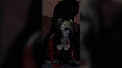 'Harley Quinn and Catwoman Pet their Sex Toys [Artgerm]'