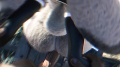 "Judy's bunny butt takes a beating in this hot porn scene!"