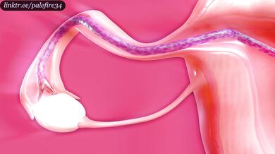 'Breeding the Succubus - Tifa and Alien Tentacles'