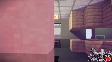 'Minecraft Lesbians in Action'