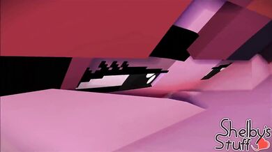 'Minecraft Lesbians in Action'