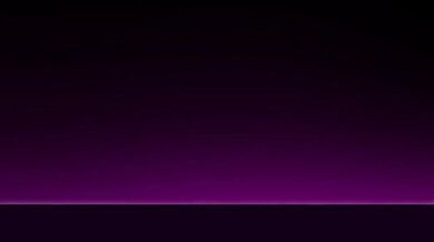 The Tarantula and the Crossdresser: A Wild Party Ensues