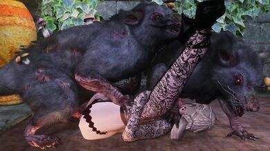 I would like to watch a compilation of skeevy porn videos.