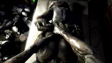 'Rampant Reaper: Sangheili Screwing Scrungusbungus in Halo'