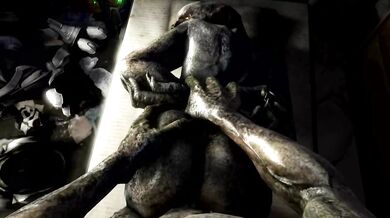 'Rampant Reaper: Sangheili Screwing Scrungusbungus in Halo'