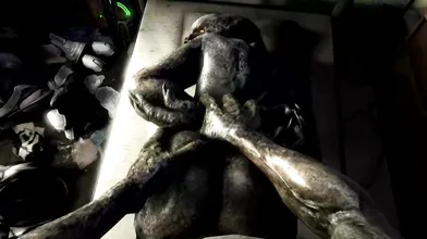 Rampant Reaper: Sangheili Screwing Scrungusbungus in Halo