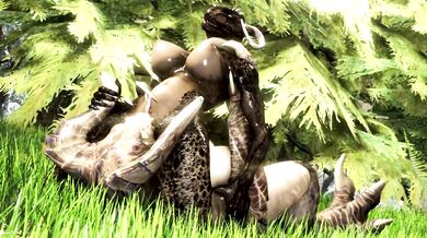 'Ra*pe of the Argonian Broodmother - A Love Story (Smut-Fallout)'