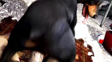 'Unleashed and Ready for Action - Scrungusbungus Canine Fuck Competition'