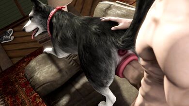 'Big Black Doggy Style: Man Fucks His Husky While She Licks Her Lady Bits.'