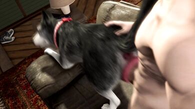 'Big Black Doggy Style: Man Fucks His Husky While She Licks Her Lady Bits.'