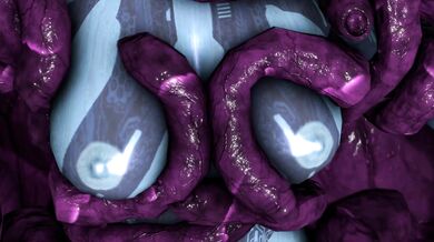 'Hentai Elite Slaves in Part 1'