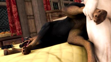 Man gets fucked by a Doberman (Scrungusbungus).