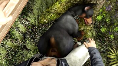 'A man and his Doberman fuck like dogs in a jungle of scrotopia, or Scrungusbungus.'