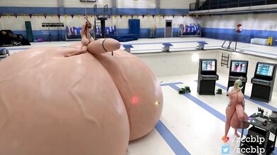 'Stretched and Tested on Brigitte'