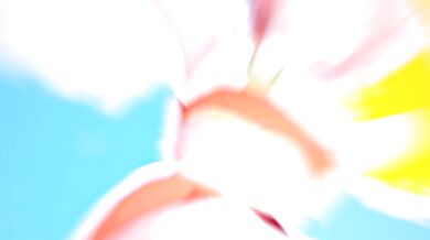 "The Unleashing of Frenzied Academia Nymphomaniacs"