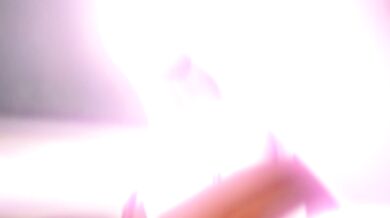 "The Unleashing of Frenzied Academia Nymphomaniacs"