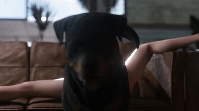 'The Lunar Princess and her Fido [Blueberg]'